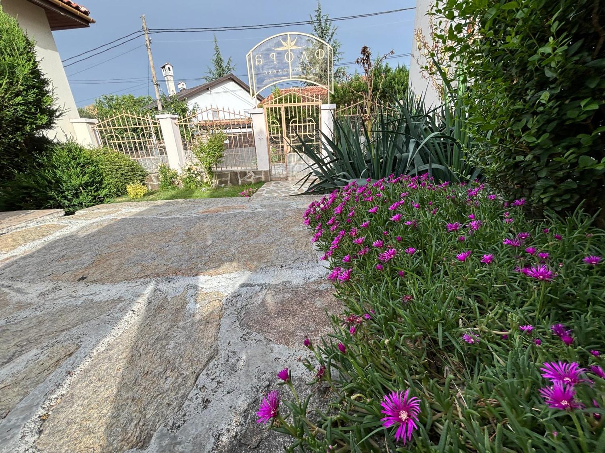 Вила Флора Паталеница Exterior photo